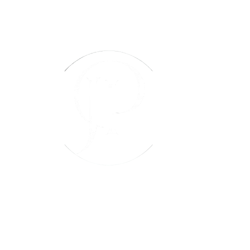logo of digital marketing strategist in kannur